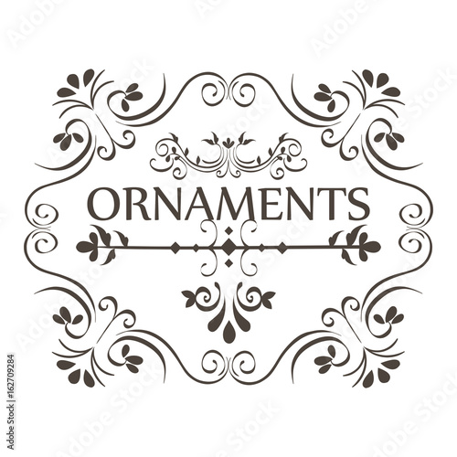 Ornaments sign with beautiful borders and frame over white background vector illustration