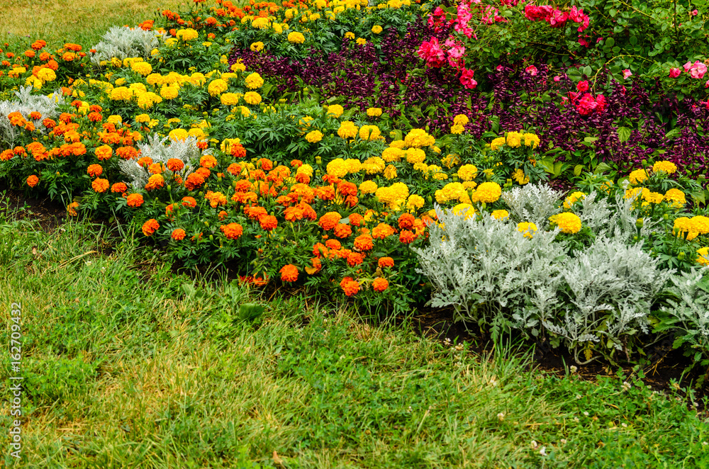 Beautiful flowerbed in city park Beautiful flowerbed in city park