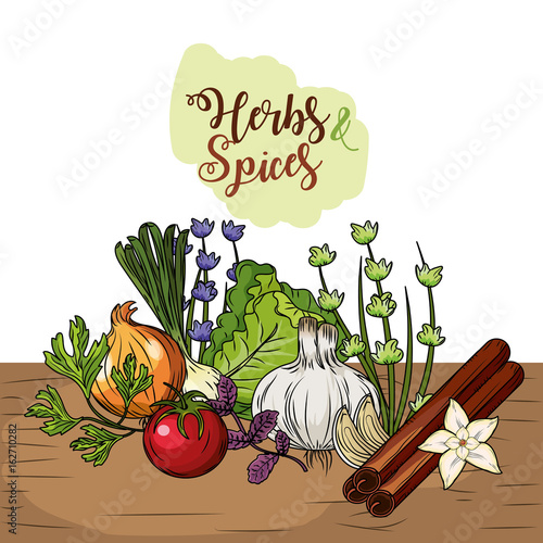 herbs and spices plants and organ food photo