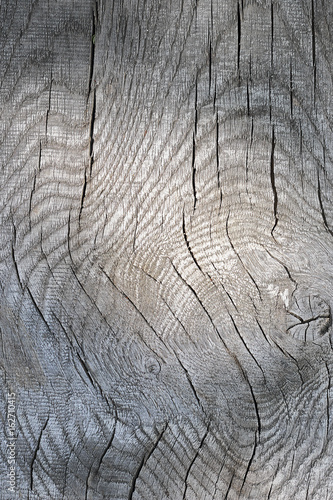 interesting texture of wood plank surface