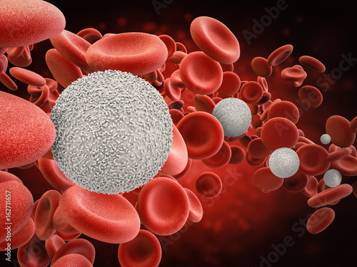Tableau sur toile white blood cells with red blood cells