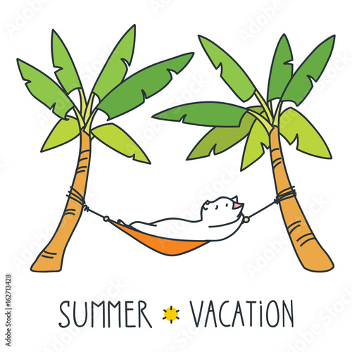 Summer vacation. Doodle vector illustration of funny white cat relaxing in a hammock
