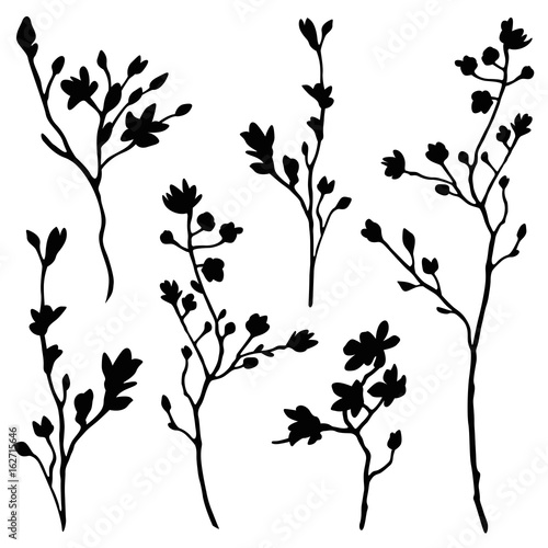 branches silhouette set
