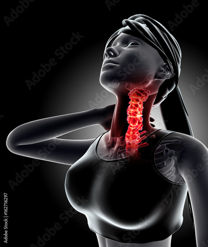 Neck painful - cervica spine skeleton x-ray, 3D illustration. photo