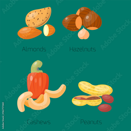 Piles of different nuts hazelnut almond peanut walnut tasty cashew seed vecto...
