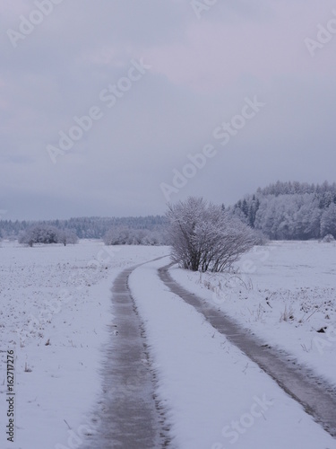 countryside winter road in forest
