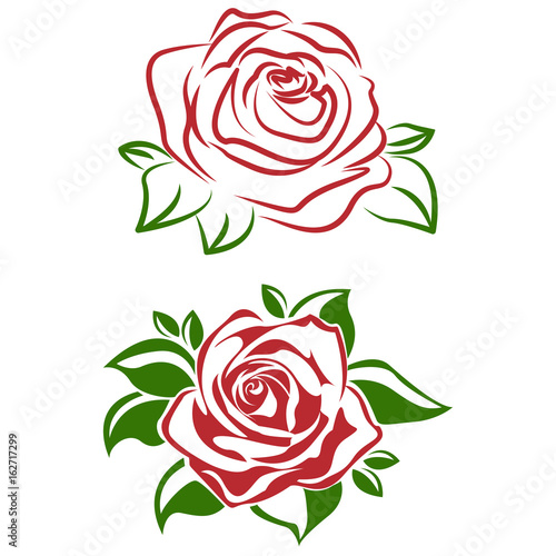 A red rose flower with green leaves