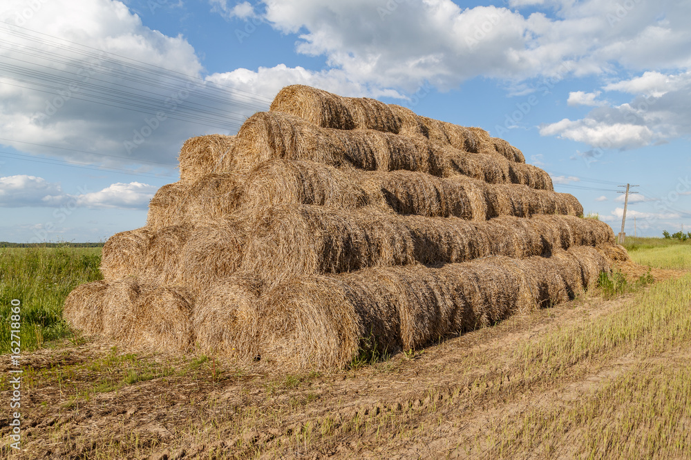 Straw rolls stacked in a field