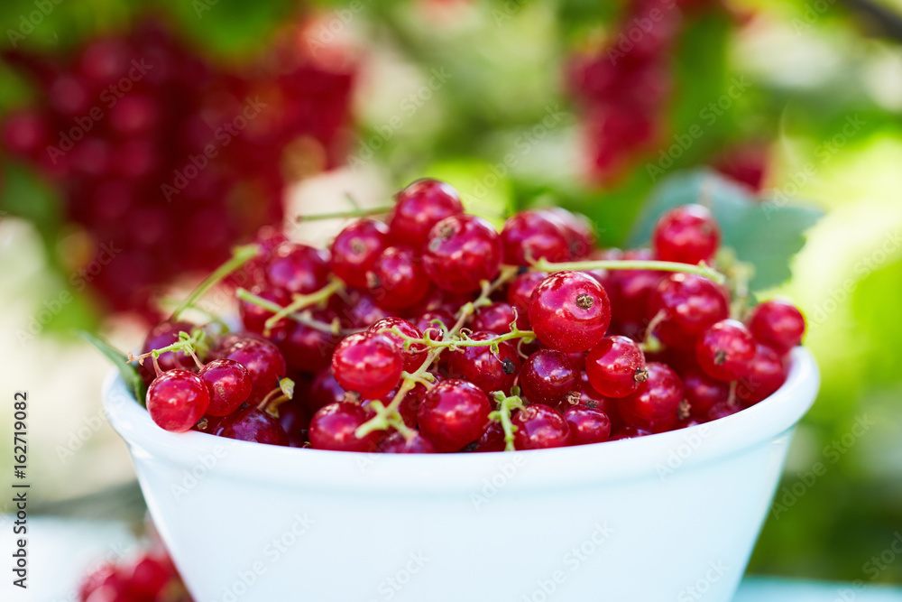 Close up of a bowl of red currant on a wooden table Close up of a bowl of red currant on a wooden table