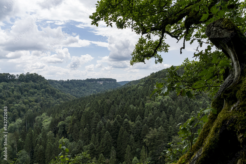 Natur Ferien Urlaub Natur Ferien Urlaub