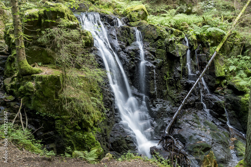 Schluchtensteig  Schwarzwald