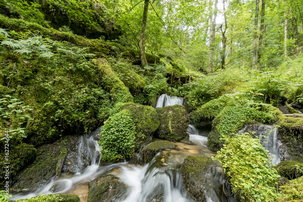 Wandern, Ausflug, Freizeit