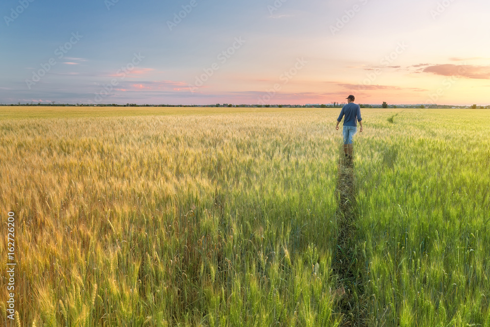 man in a wheat field / sunset field, evening photo Ukraine