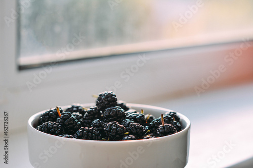 Summer berries in a pialat on colour background photo