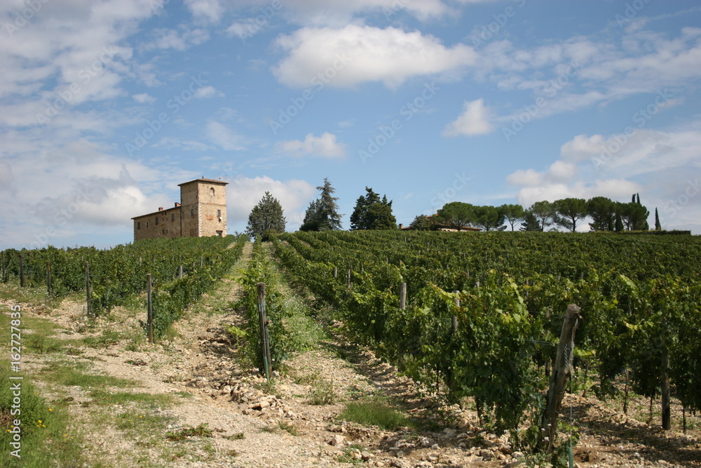 Weingut mit Reben inr der Toskana