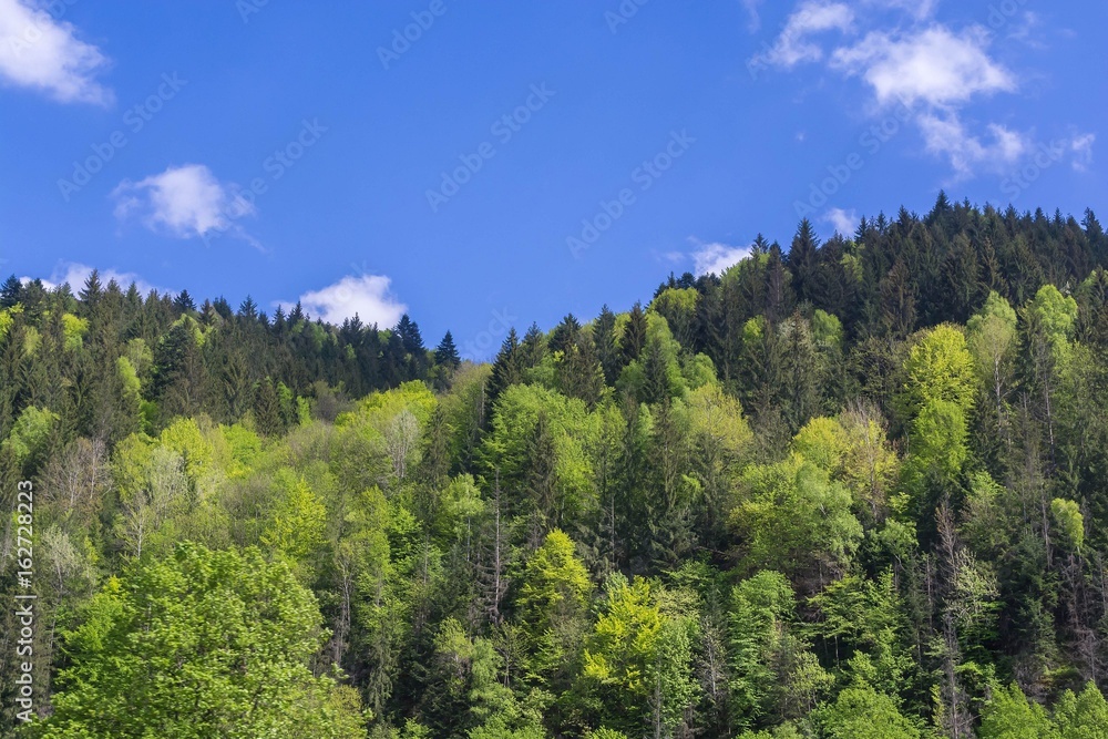 Romanian mountains with sky and perfect whather