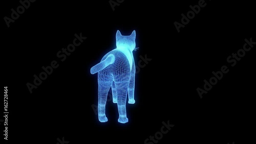 Cat in Hologram Wireframe Style. Nice 3D Rendering
