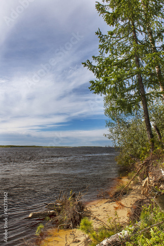 Plakat Река Пур/ Фото сделано на левом берегу реки Пур вблизи поселка Коротчаево. Из-за обилия железа в составе,вода имеет темно оранжевый оттенок.