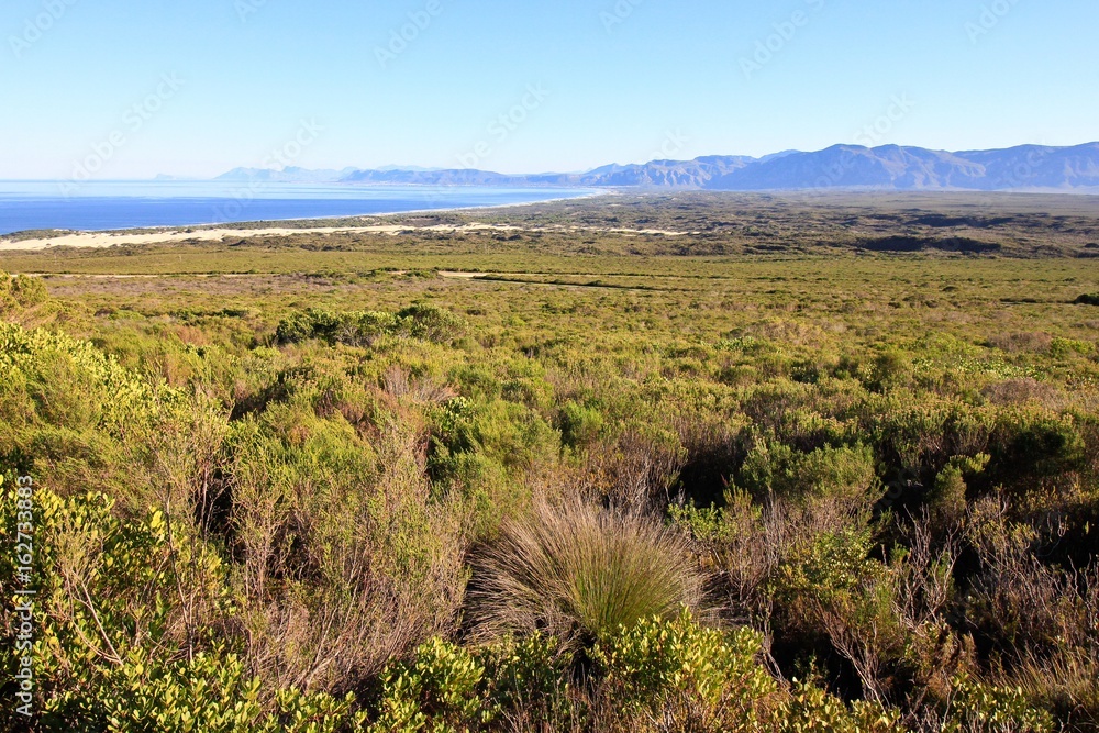 Overlooking Walker Bay in South Africa