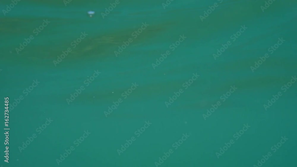 Bubbles rising to the surface. Air bubbles in water in sea (underwater shot), good for backgrounds. Slow motion.
Bubbles rising to the surface. Air bubbles in water in sea (underwater shot), good for backgrounds. Slow motion.
