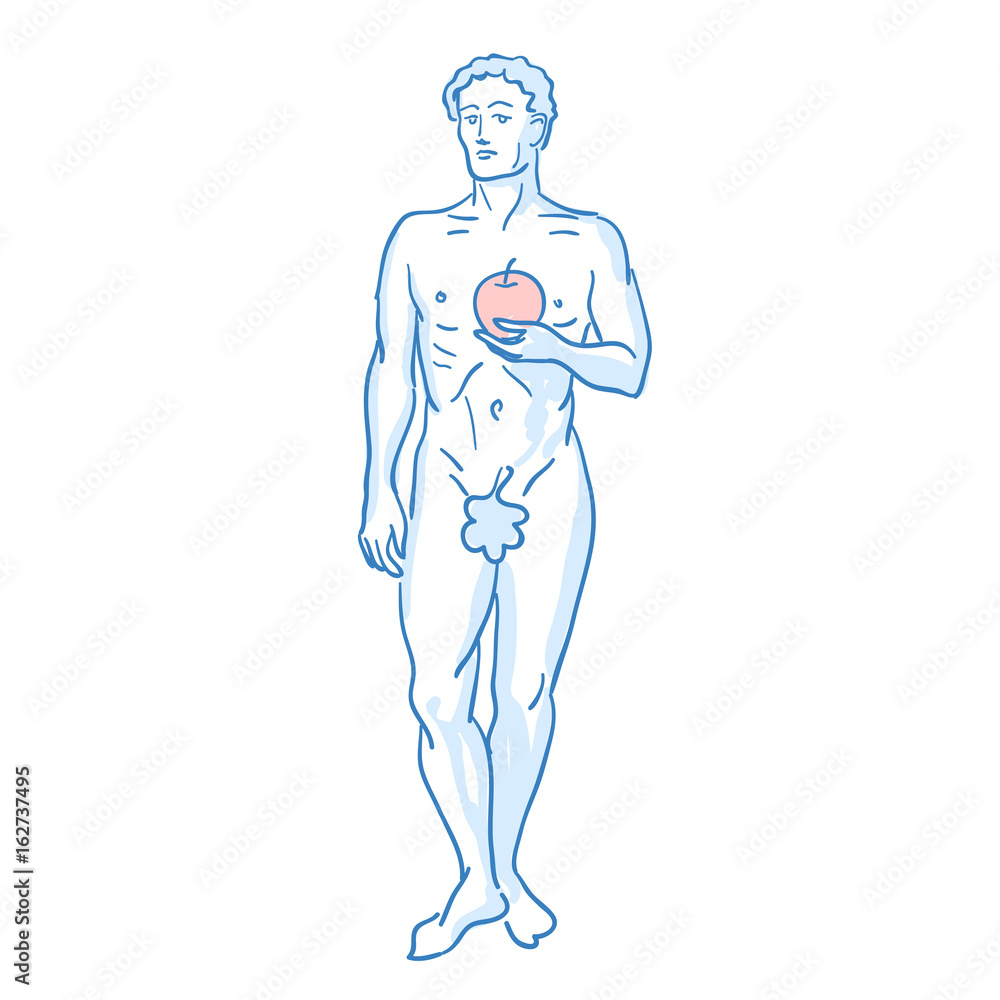 Adam first man. Line sketch. Stock vector. Historical illustration. Adam first man. Line sketch. Stock vector. Historical illustration.