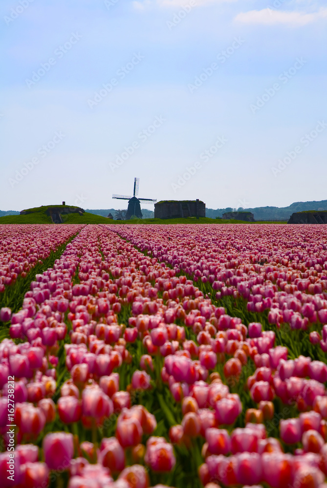 Holland