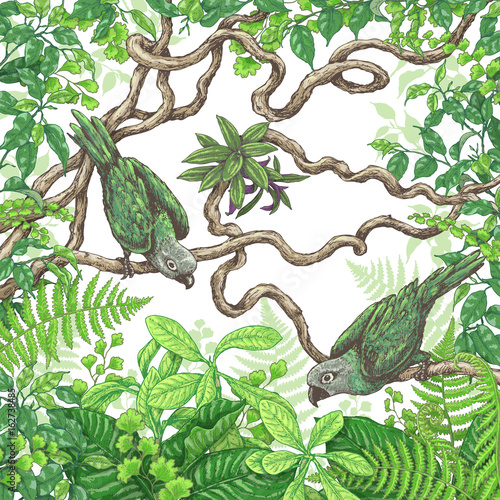 Green Parrots Sitting  on Branches