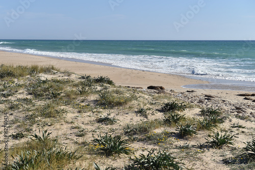 Sandy beach with a grass
