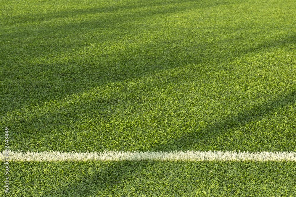 Element of an artificial soccer field with a white stripe Element of an artificial soccer field with a white stripe
