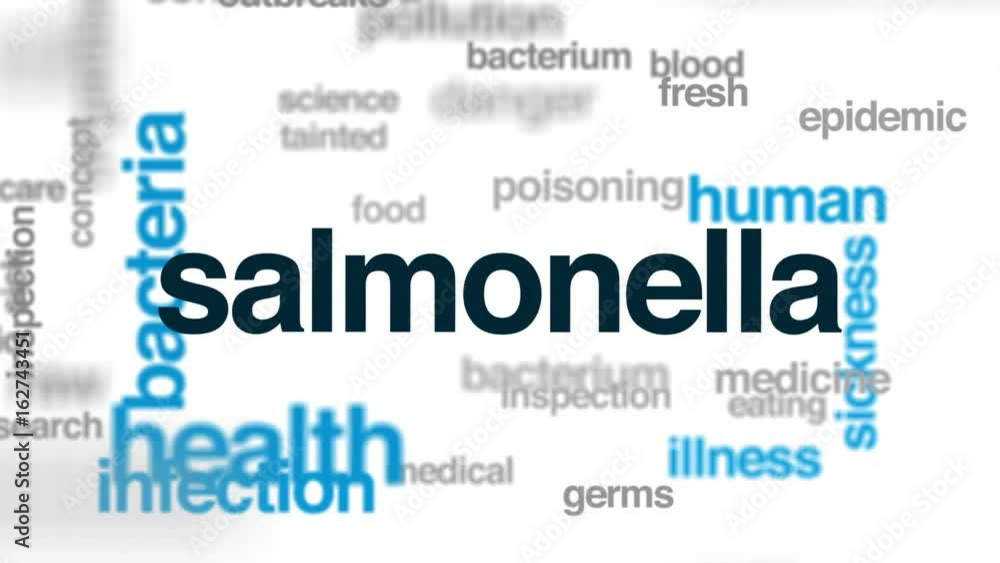 Salmonella animated word cloud, text design animation. Salmonella animated word cloud, text design animation.