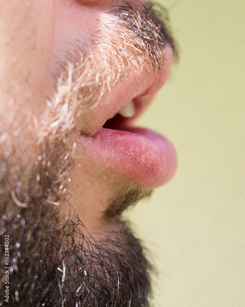Hair of a man with a beard and mustache Hair of a man with a beard and mustache