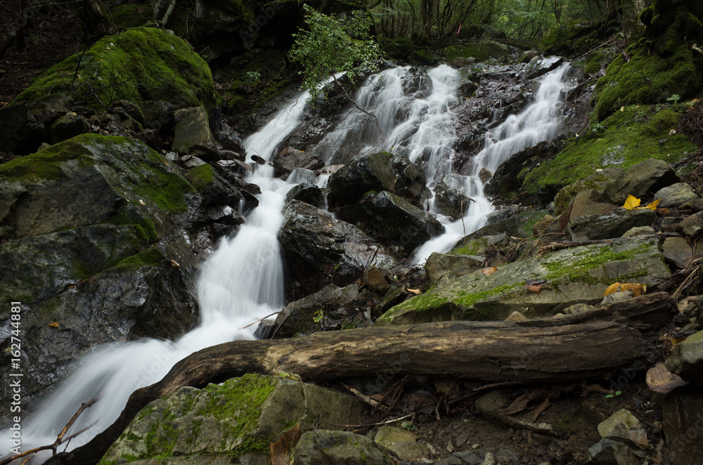 Naklejka premium 沢の流れ