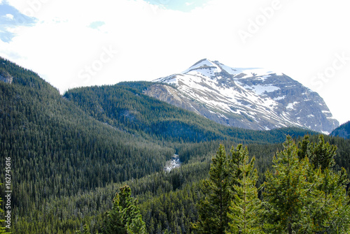 春のカナディアン・ロッキー バンフ国立公園 ノースサスカチュワン川と山並み（カナダ）