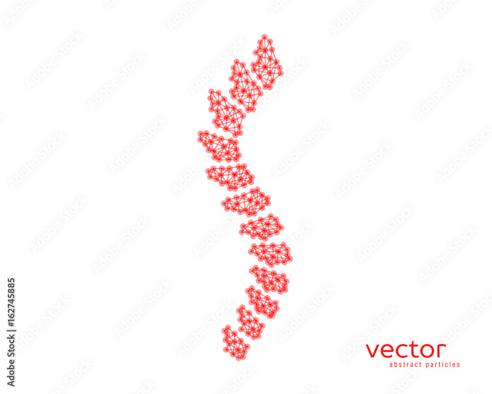 Abstract vector illustration of spinal column. Abstract vector illustration of spinal column.