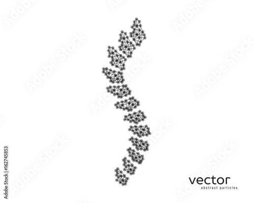 Abstract vector illustration of spinal column.