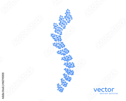 Abstract vector illustration of spinal column.
