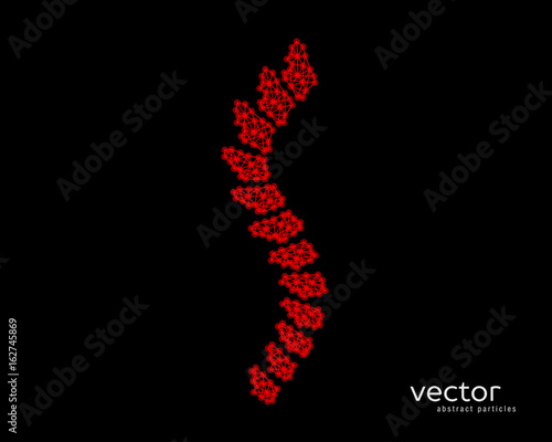 Abstract vector illustration of spinal column.