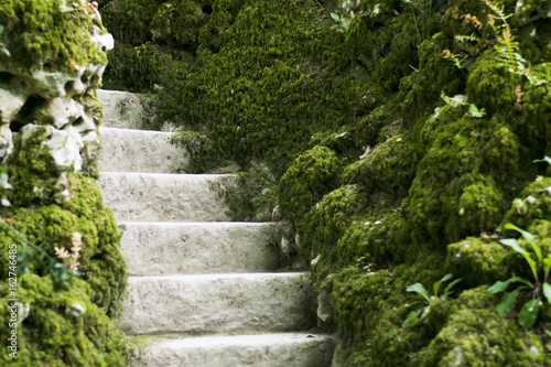 Moss covered stairs in the forest in portugal
