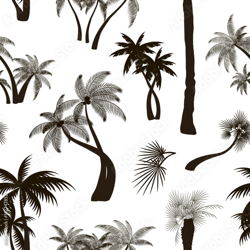 Palm collection pattern