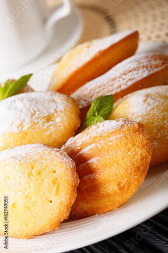 Freshly baked home Madeleine cookies with powdered sugar macro on a plate. vertical