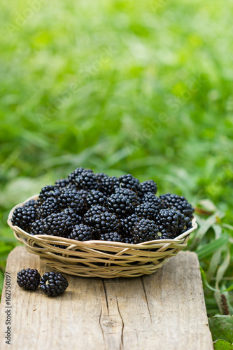 blackberries in a basket on a background of green grass