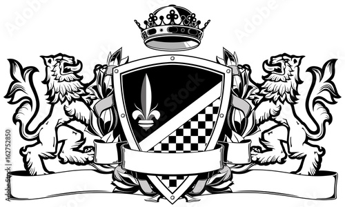 The black white coat of arms with lions, crown and shield with pattern