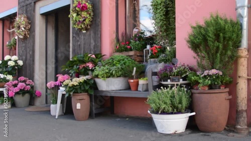 Wallpaper Mural View of florist's shop. Outdoor view of florist's shop, florist's decoration on street. Torontodigital.ca