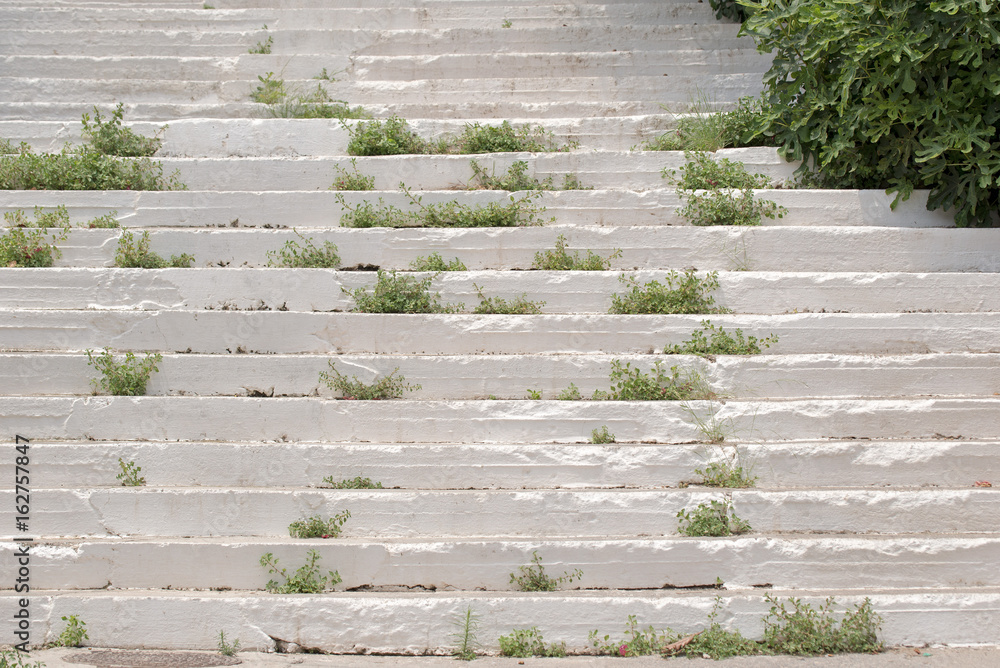 white dirty stairs overgrown with moss and grass white dirty stairs overgrown with moss and grass