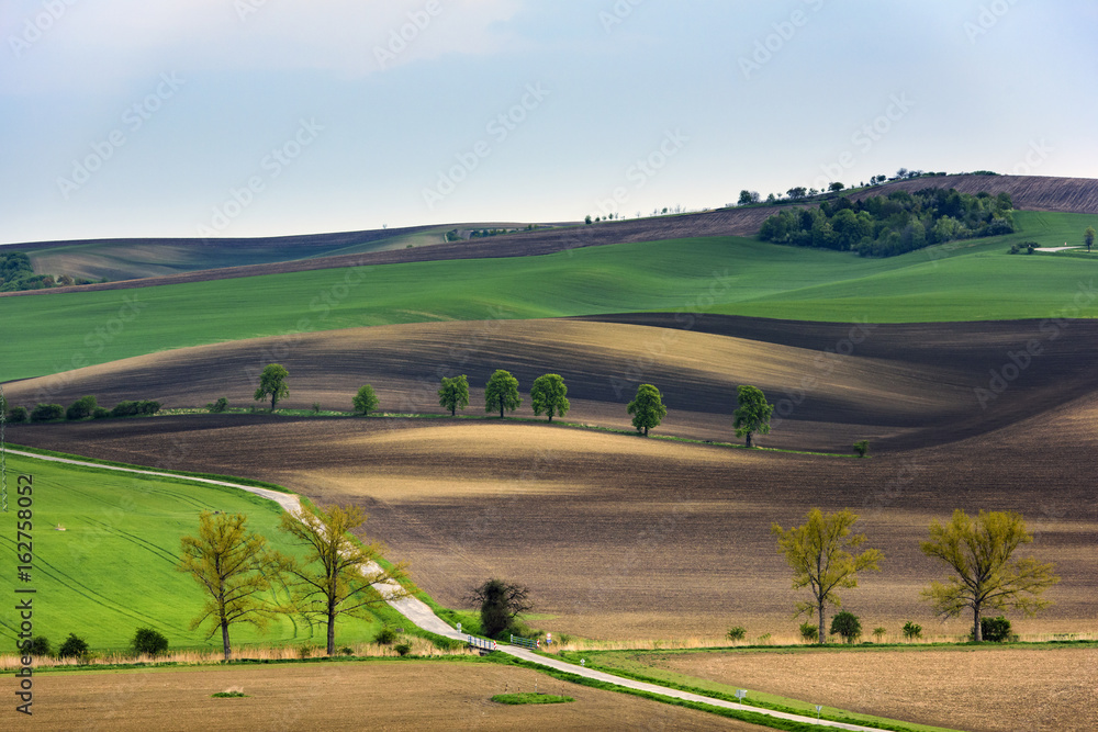 South Moravia landscape with wavy fields South Moravia landscape with wavy fields