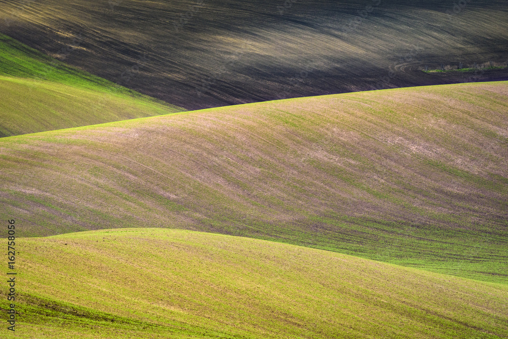 Wavy hills during spring time in South Moravia