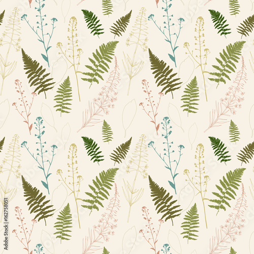 Floral vector seamless pattern with fern leaves, shepherd's purse plant and f...