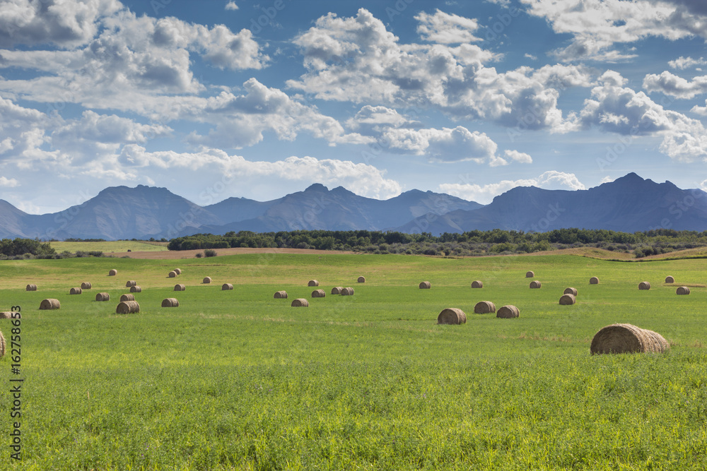 haybales in a farm field against a mountain backdrop
