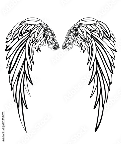Wings. Vector illustration on white background. Black and white style 