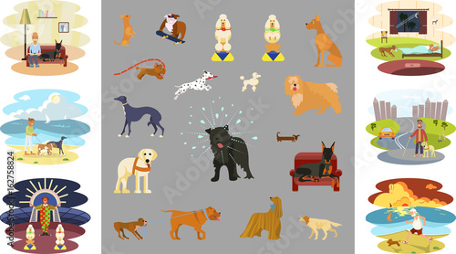 People walking with different breeds of dogs infographic. Isolated on white background vector illustration eps 10